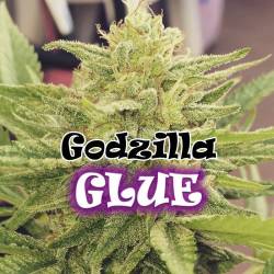 Godzilla Glue Feminizada